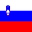 Fresh Casino slovenia flag